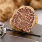 Bianchetto Truffle Tuber borchii